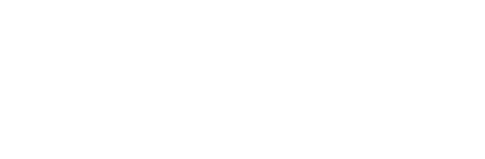 NetDip.com logo